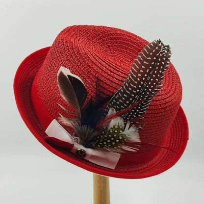 Fedora Men's Feather Wide-brimmed Hat Unisex Wool Felt Jazz Top Hat Autumn and Winter Ladies Hat Church Men's Hat Casual