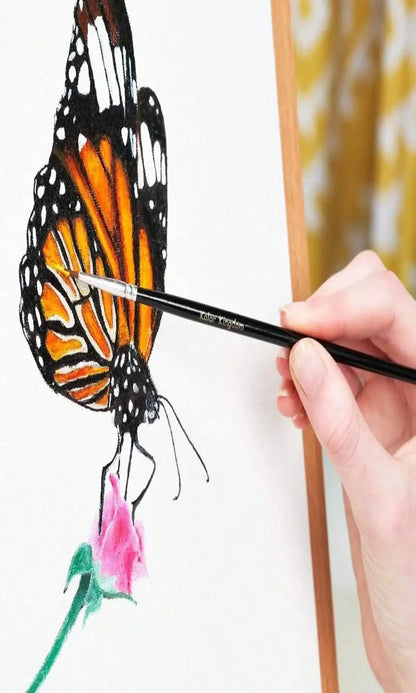 24 Colors Acrylic Paint Set (12ml/0.41oz) with 3 Brushes, Art Paints for Canvas Wood Rock Fabric & More