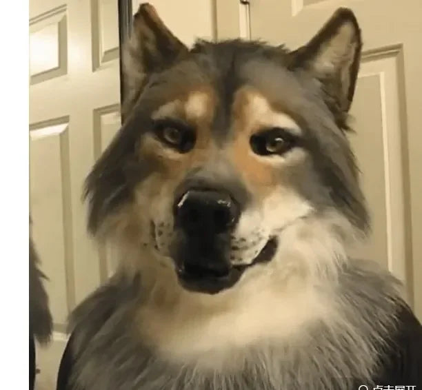 Eagle mask Eagle hood Halloween simulation animal Bulldog Parrot Old man Young man hood mask