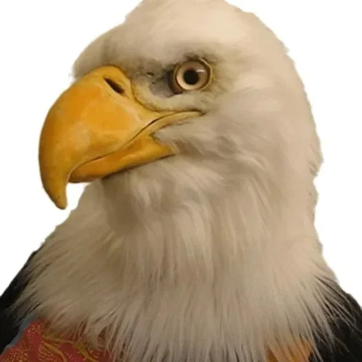 Eagle mask Eagle hood Halloween simulation animal Bulldog Parrot Old man Young man hood mask