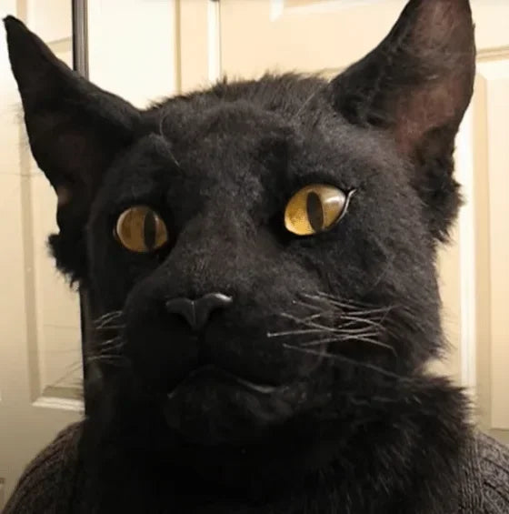 Eagle mask Eagle hood Halloween simulation animal Bulldog Parrot Old man Young man hood mask