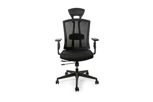 Ergo Plus Ergonomic Office Chair - Desk Chair, Mesh Computer Leatherette Headrest, Memory Foam Seat, and Smooth, Customized