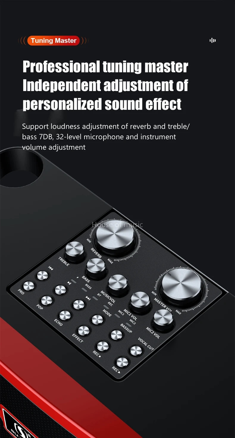 120W High Power Wireless Portable Microphone Bluetooth Speaker Sound Family Party Karaoke Subwoofer Boombox caixa de som Ys-201
