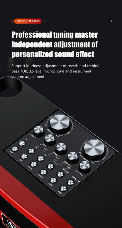 120W High Power Wireless Portable Microphone Bluetooth Speaker Sound Family Party Karaoke Subwoofer Boombox caixa de som Ys-201