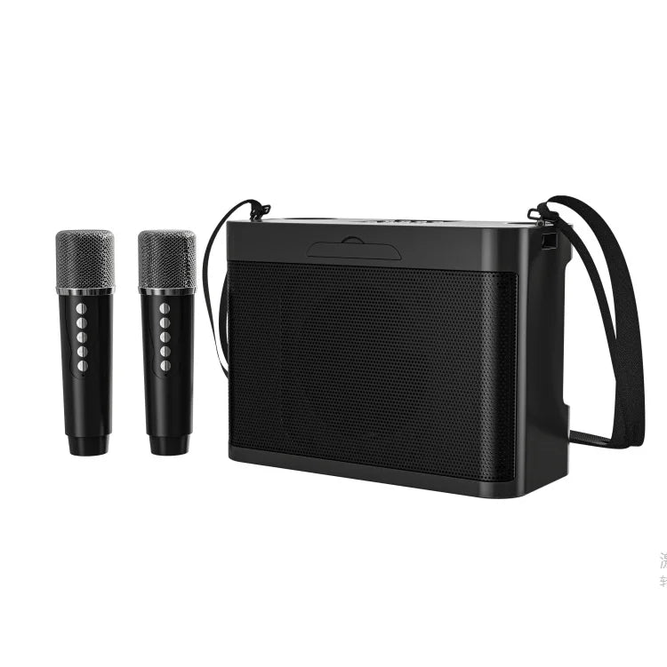 #20W Powerful Wireless Portable Dual Microphones Bluetooth Speaker Hifi Stereo Family Party Karaoke Subwoofer Boombox gifts 2026