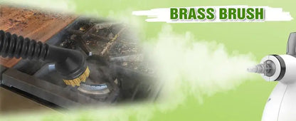 Pressurized Handheld Multi-Surface Natural Steam Cleaner with 12 pcs Accessories, Multi-Purpose Steamer