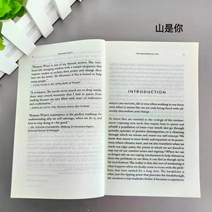 The Mountain Is You: Transforming Self-Sabotage Into Self-mastery English Books