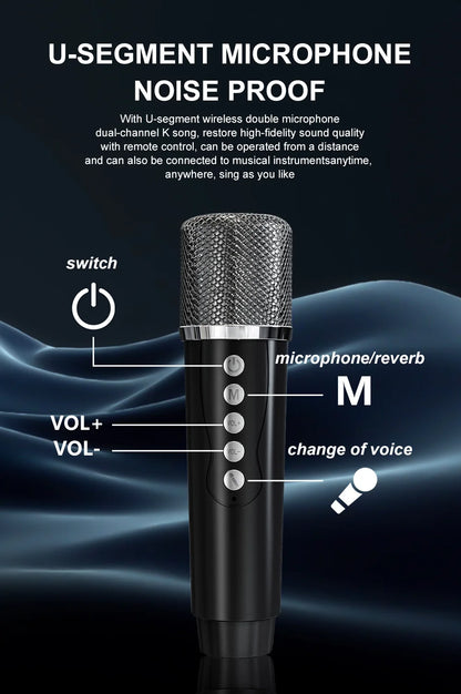 #20W Powerful Wireless Portable Dual Microphones Bluetooth Speaker Hifi Stereo Family Party Karaoke Subwoofer Boombox gifts 2026