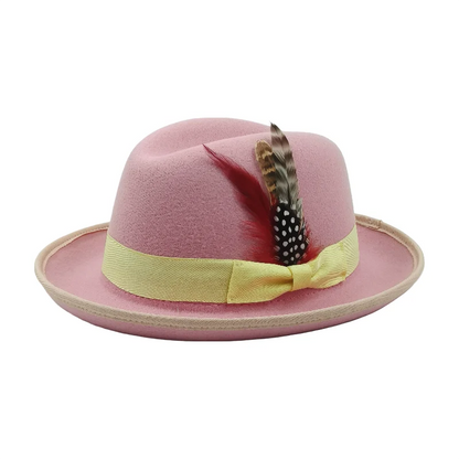 Trilby Men Classic Feather Fedora Hat Simple Women Gentleman Hamburger hat vintage hat Pork Pie Winter Autumn sombrero hombre