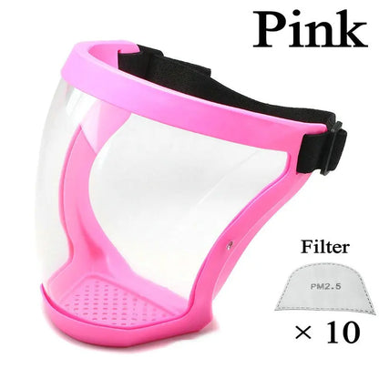 6 Colors Transparent Face Mask Full Face Shield Safety Glasses Eye Protection Windproof Dustproof Anti-splash Kitchen Tool New