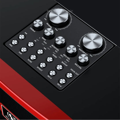 120W High Power Wireless Portable Microphone Bluetooth Speaker Sound Family Party Karaoke Subwoofer Boombox caixa de som Ys-201