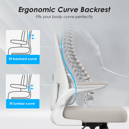 Office Chair, Mesh Ergonomic Office Chair with Lumbar Support, Comfy Computer Desk Chair
