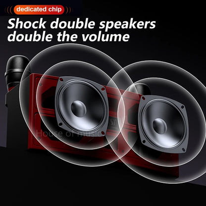 120W High Power Wireless Portable Microphone Bluetooth Speaker Sound Family Party Karaoke Subwoofer Boombox caixa de som Ys-201