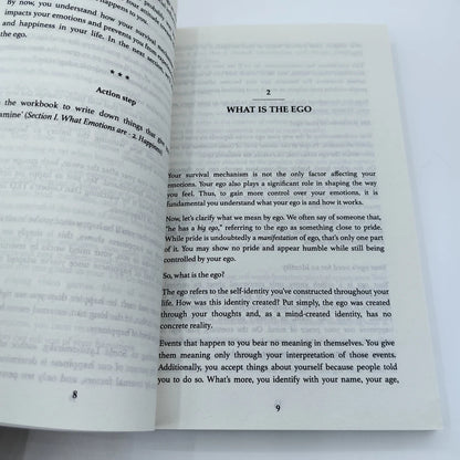 Master Your Emotions English Original Novel By Thibaut Meurisse Overcome Negativity And Better Manage Your Feelings Book