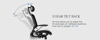 Ergonomic Office Chair, High Back Home Desk Chair with Headrest, Flip-Up Arms, 90-120° Tilt Lock and Wide Cushion
