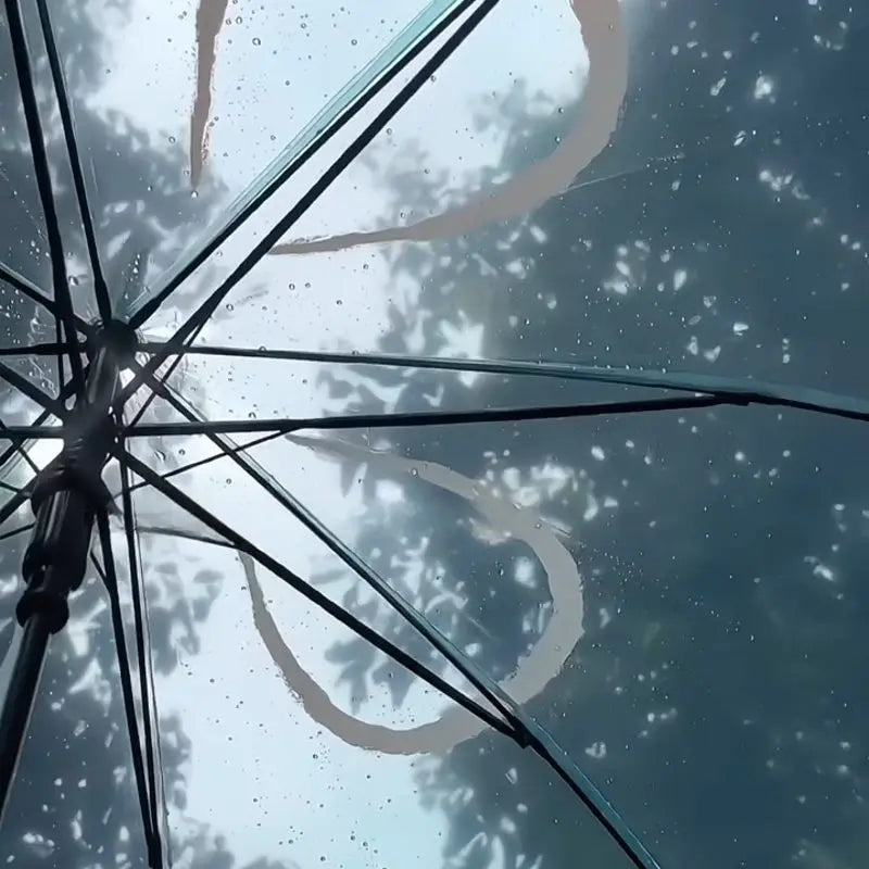 2024 New Auatic Long Handle Thiened Windproof Transparent Umbrella Dry Sea Moon Jellyfi Design Fre And Clean Sle